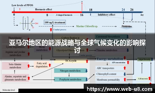 亚马尔地区的能源战略与全球气候变化的影响探讨
